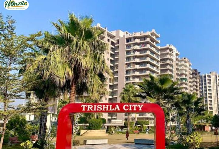 Trishla City Nabha Zirakpur | Luxury 2BHK, 3BHK & 4BHK High-Rise Apartments in Zirakpur Residential Projects