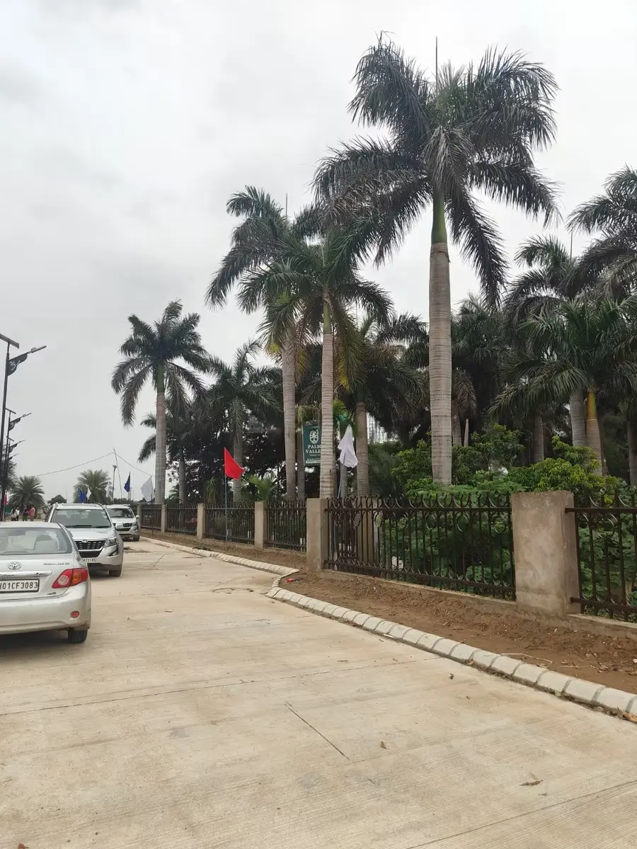 Unnati Palm Valley Sector 12A Raili Panchkula: Premium Residential Plots in Panchkula Real Estate Projects – swimming pool