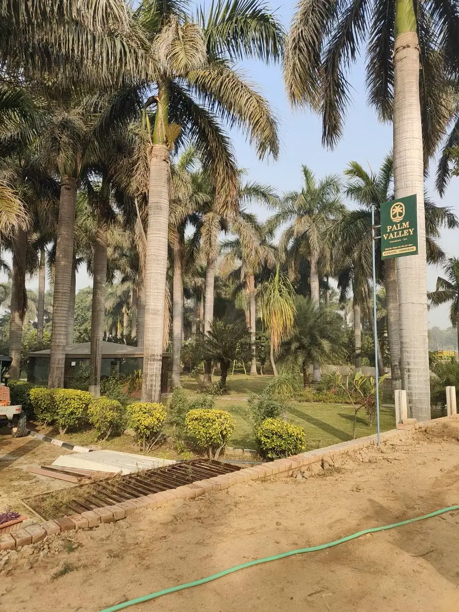 Unnati Palm Valley Sector 12A Raili Panchkula: Premium Residential Plots in Panchkula Real Estate Projects – elevation