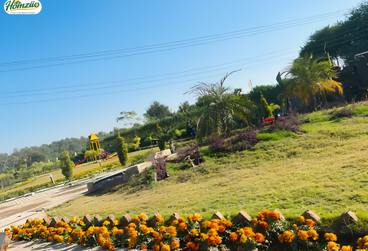 Velora Midtown in Mohali – elevation